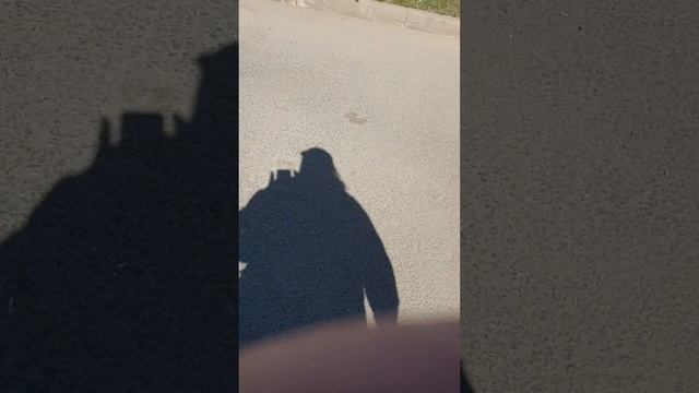 Сначала - здоровый дух или медитация как привычка смотреть онлайн
