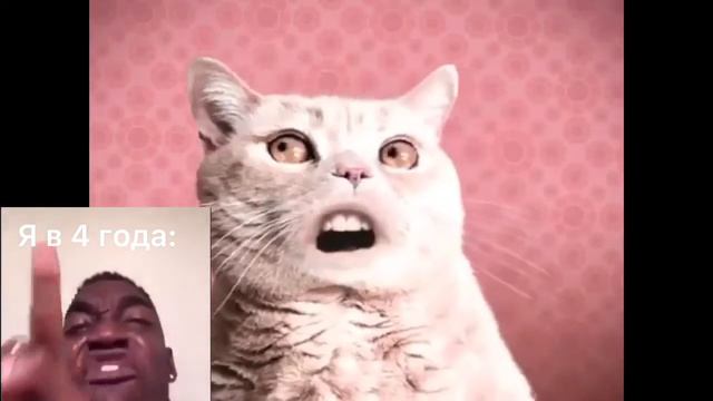 Пов: что я смотрела 7 лет назад смотреть онлайн