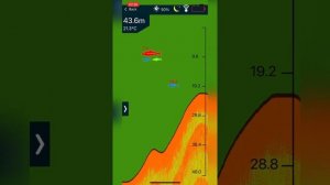 Беспроводной эхолот Erchang XA02 для рыбалки 48 м #Shorts