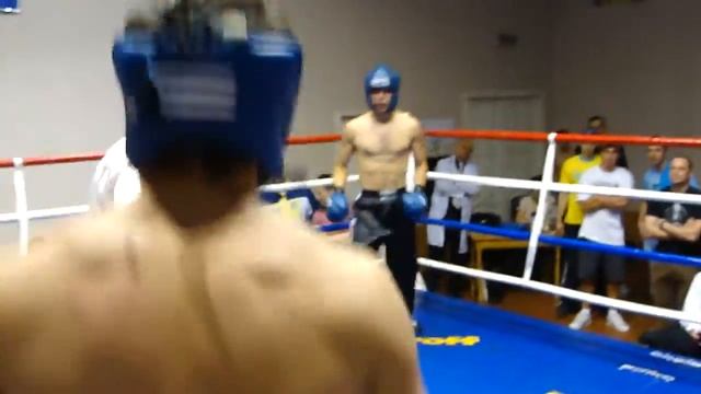 Puncher ZHYTOMYR. Кickboxing WAKO