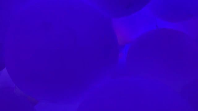 Why you need to visit Japan 🇯🇵 Exploring Tokyo, Odaiba, TeamLab Planet, Tokyo Big Sight,What I eat смотреть онлайн