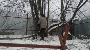 Обзор бензопилы Huter BS-2300М. Отличная пила!?