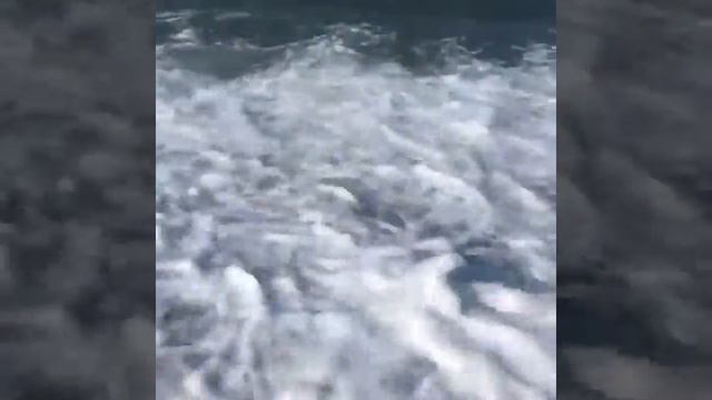 Звуки моря, когда Галька шумит смотреть онлайн