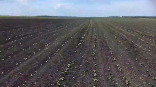 Нужна ли ротационка для подсолнуха? смотреть онлайн