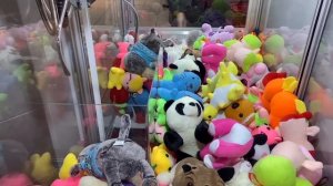 НАСТОЯЩИЙ КОТ БАСИК В АППАРАТЕ С ИГРУШКАМИ ХВАТАЙКА / ПОЛУЧИТСЯ ЛИ ЕГО ДОСТАТЬ???