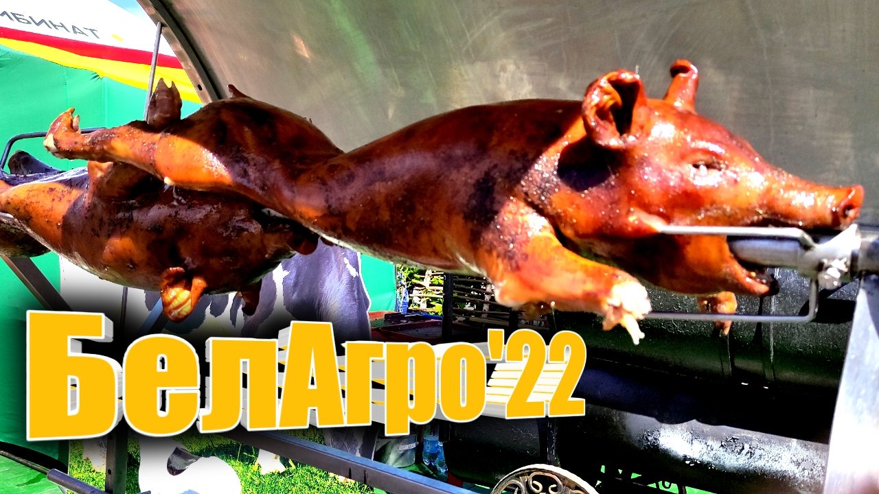 Выставка БелАгро 2022. Индустриальный парк _Великий камень_ Belklubnika.by.mp4 смотреть онлайн