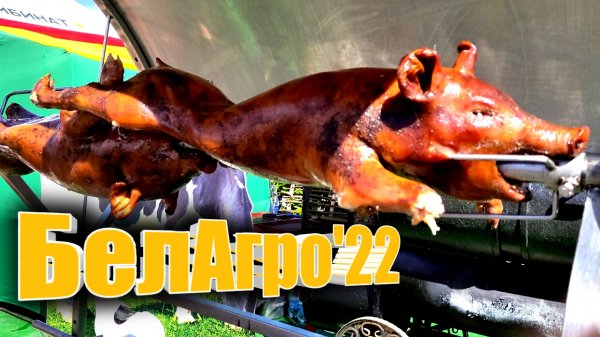 Выставка БелАгро 2022. Индустриальный парк _Великий камень_ Belklubnika.by.mp4