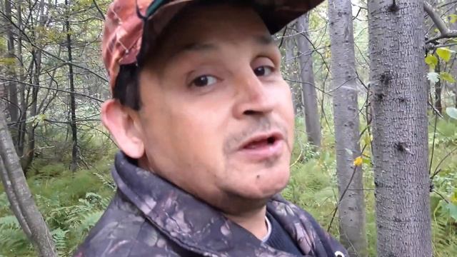 Чужая собака выгнала на меня лося. что делать? стрелять или нет ? Лицензия была. смотреть онлайн