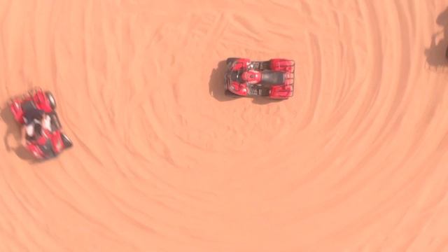 Desert Safari Dubai - Oasis Palm Tourism смотреть онлайн