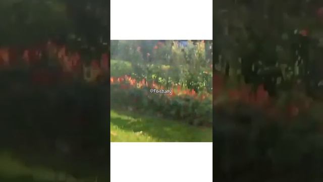 ксм хестай намиёи я бфучиш шармандагии духтари точик ракосаи кайфи ходиса тв парвиз тв 2023 смотреть онлайн