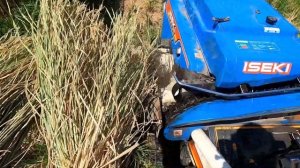 Работаю на рисовом поле в Японии. Как японцы собирают рис.