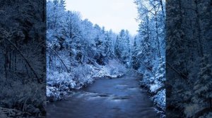 Поль Мориа (ищите женщину)