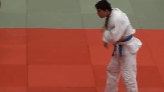 Davit Nikoghosyan AM Armenian Judo Federation смотреть онлайн