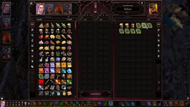 Das Heiligtum der Amadia | Divinity: Original Sin 2 #041 | смотреть онлайн