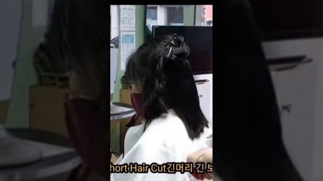 Long Hair Long Bob Short Hair CutLong Hair Long Bob Short Hair Cut긴머리 긴 보브 단발헤어컷트 단발머리 смотреть онлайн