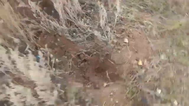 Пополнение металлических копилок , коплю металл на покупку Автомобиля. смотреть онлайн