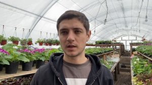 Как заработать на комнатных цветах? 7 лучших растений для бизнеса!