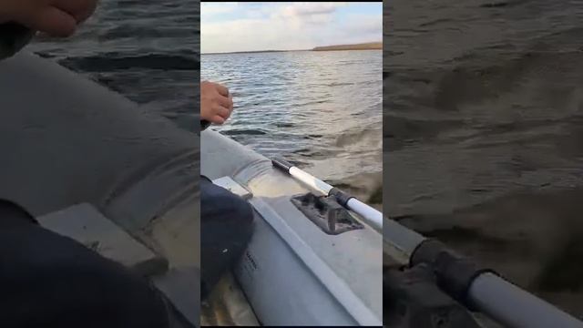 18 ноября 2023 гБасня Сергея Михалкова "Рыбьи дела". смотреть онлайн