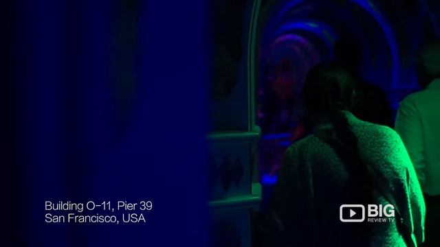 Magowan's Infinite Mirror Maze, an Amusement Center and San Francisco Attractions смотреть онлайн