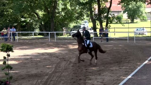 Tino Bode und Mont Blanc - Springprüfung Kl. S* m. St. смотреть онлайн