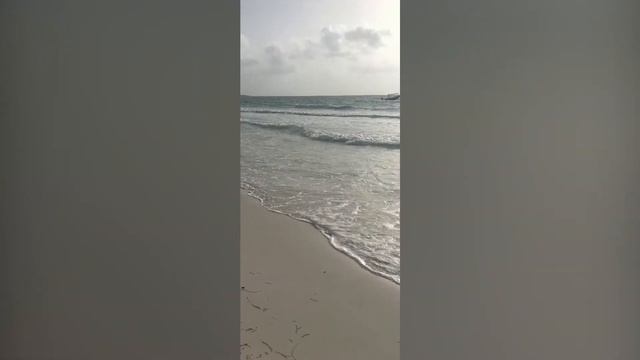 Catalonia, playa Maroma, México смотреть онлайн