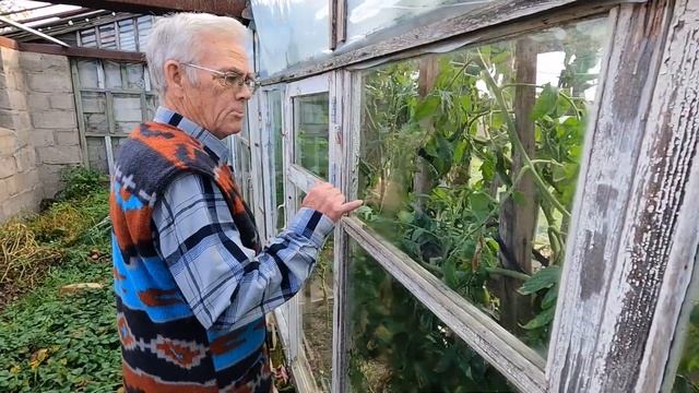 Как выживают пенсионеры в Калининградской области смотреть онлайн