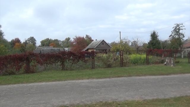 Полендвица в домашних условияхУ НАС РАСТЕТ БУДУЩИЙ ЧЕМПИОН
