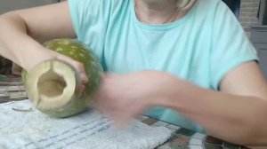 Лагенария.Как собрать семена . Что показало вскрытие?