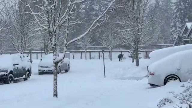 Зимняя сказка в штате Вашингтон Winter Fairytale in WA смотреть онлайн