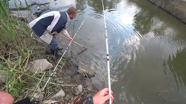 ЛОВЛЯ САЗАНА НА МАКУШАТНИК. ВОТ ЭТО Я ПОНИМАЮ РЫБА. СУПЕР РЫБАЛКА 2020. смотреть онлайн