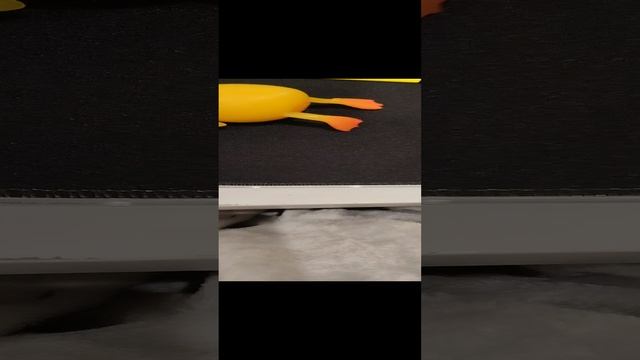 1000009126.mp4 смотреть онлайн