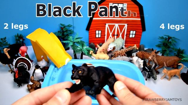 AWESOME Wild and Farm Animal Sorting Game for Kids! смотреть онлайн