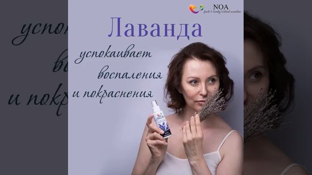 Гидролат от noa.today смотреть онлайн