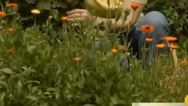 Руководство к Искусству