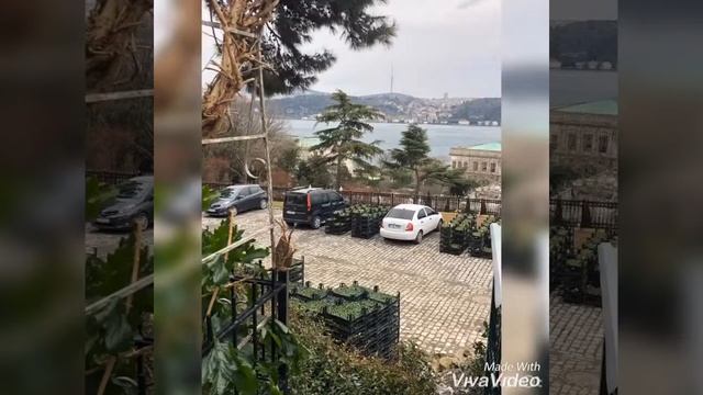 Стамбул. Йылдыз парк, январь 2019 смотреть онлайн