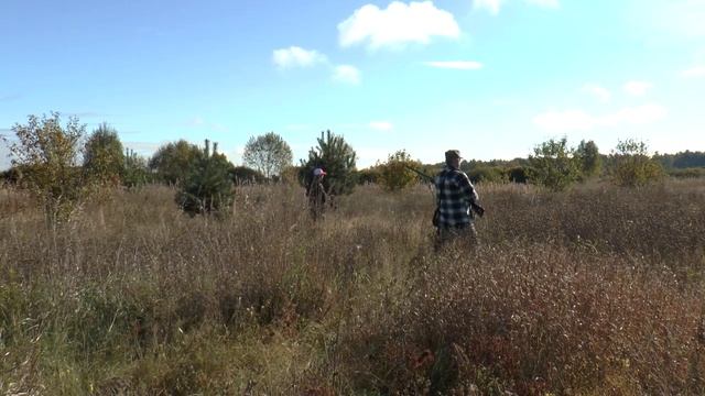 ОХОТА с легавыми в МЕЩЁРЕ смотреть онлайн