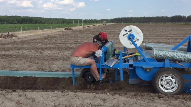 Как стелить гряду для голубики смотреть онлайн