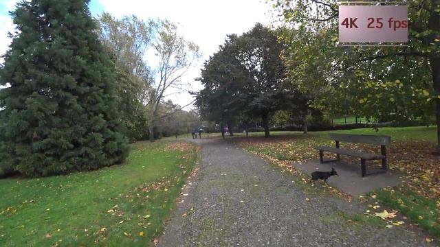 Sony FDR X3000 тест записи звука на ветре