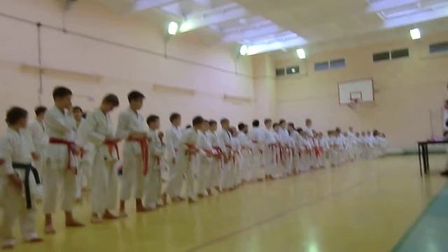 Школа 134 Нижнего Новгорода. Экзамен по карате 27 декабря 2015 - 1 смотреть онлайн