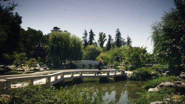 Free fire I Phone 14 pro max vs Asus Rog phone 6 who is the best phone for free fire | Free fire смотреть онлайн