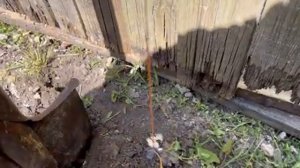 Установка забора с профнастила своими руками от А до Я