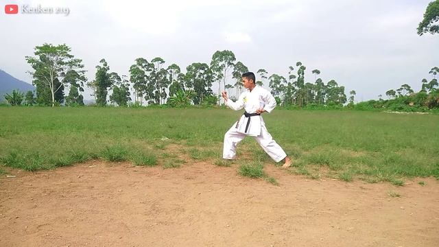 Heian Shodan Kata 1 - Karate Technique смотреть онлайн