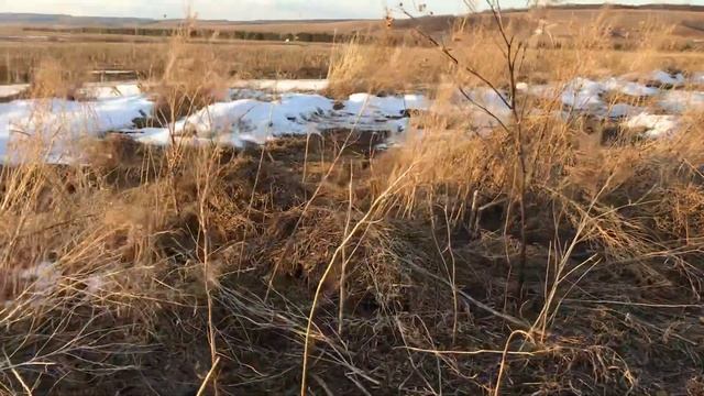 Охота на гуся , маскировка смотреть онлайн