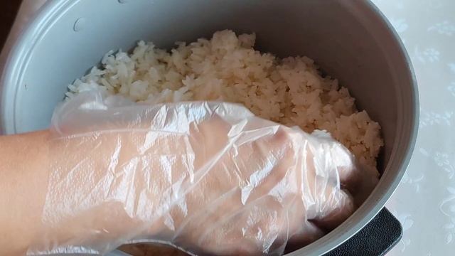 Домашние Животные и Их Уход