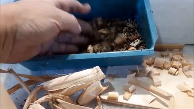 Рогоз и кокос - универсальный грунт для укоренения, развития саженцев винограда и роз. смотреть онлайн