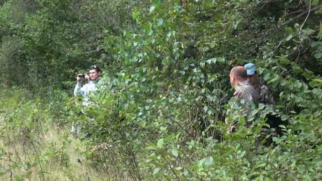 Праліси Карпат смотреть онлайн