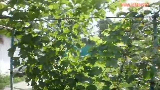 Фонтан своими руками смотреть онлайн