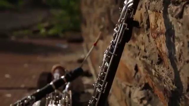 Acelga Quintett смотреть онлайн