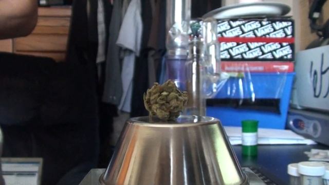 Mary Jane OG Review