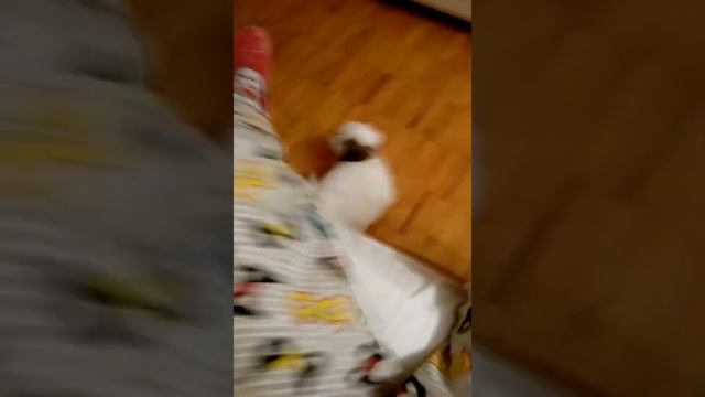 Моя собака 2! смотреть онлайн